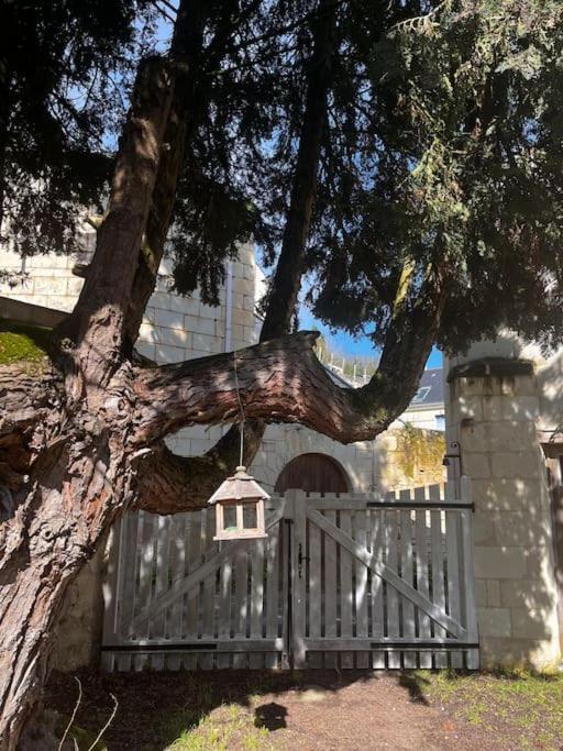 Le Relais De L'Artiste Villa Turquant Екстериор снимка